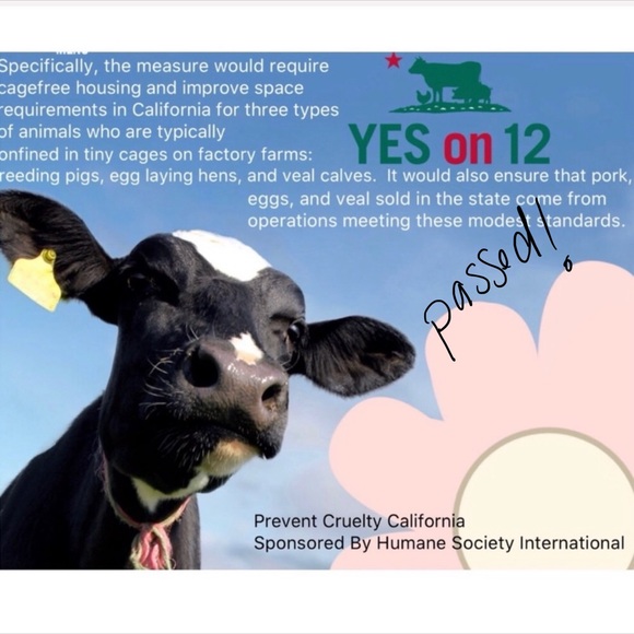 Organized By Size - Picture 5 of 6